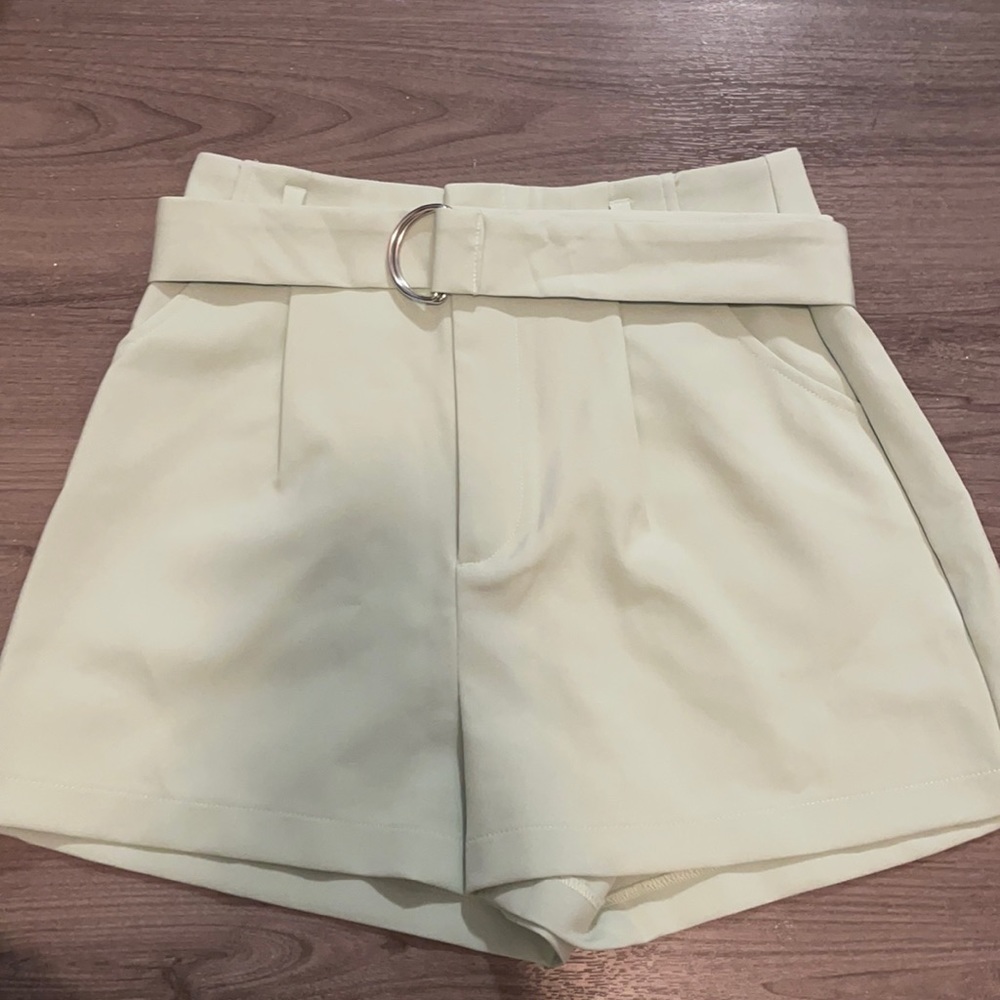 Mint green cute shorts. Never worn before. Not available in store anymore